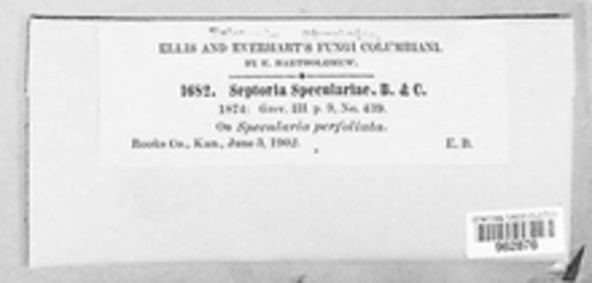 Septoria speculariae image